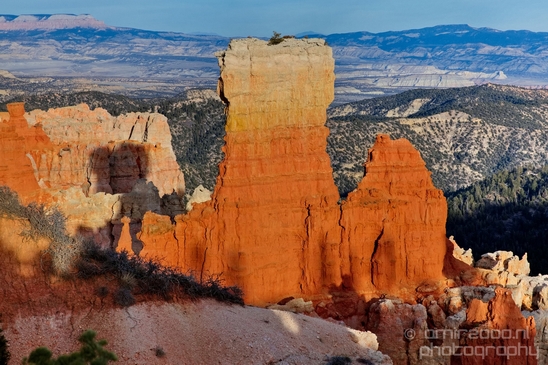 Bryce_canyon_nature_landscape_Utah_USA_Photography_071_Canon_EOS_5D_Mark_IV.JPG