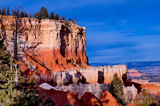 Bryce_canyon_nature_landscape_Utah_USA_Photography_072_Canon_EOS_5D_Mark_IV.JPG