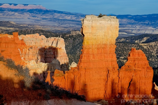 Bryce_canyon_nature_landscape_Utah_USA_Photography_073_Canon_EOS_5D_Mark_IV.JPG