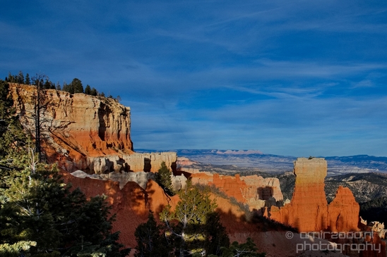 Bryce_canyon_nature_landscape_Utah_USA_Photography_074_Canon_EOS_5D_Mark_IV.JPG
