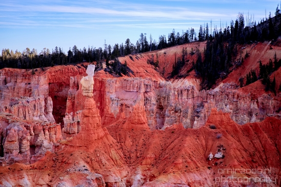 Bryce_canyon_nature_landscape_Utah_USA_Photography_077_Canon_EOS_5D_Mark_IV.JPG