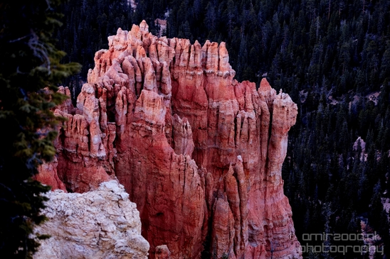 Bryce_canyon_nature_landscape_Utah_USA_Photography_078_Canon_EOS_5D_Mark_IV.JPG