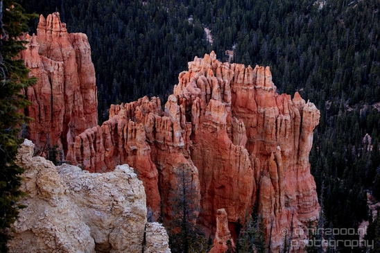 Bryce_canyon_nature_landscape_Utah_USA_Photography_079_Canon_EOS_5D_Mark_IV.JPG