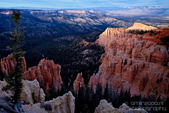 Bryce_canyon_nature_landscape_Utah_USA_Photography_080_Canon_EOS_5D_Mark_IV.JPG