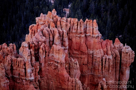Bryce_canyon_nature_landscape_Utah_USA_Photography_082_Canon_EOS_5D_Mark_IV.JPG