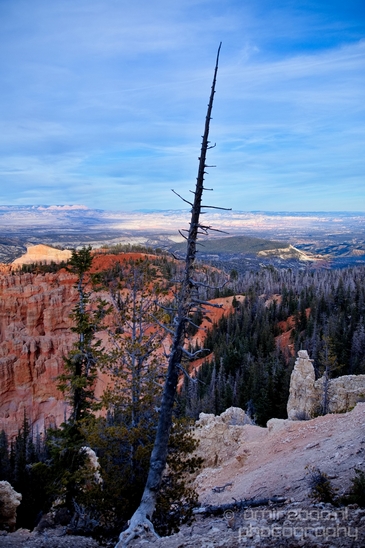 Bryce_canyon_nature_landscape_Utah_USA_Photography_084_Canon_EOS_5D_Mark_IV.JPG