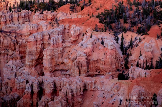 Bryce_canyon_nature_landscape_Utah_USA_Photography_085_Canon_EOS_5D_Mark_IV.JPG