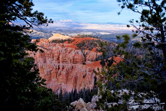 Bryce_canyon_nature_landscape_Utah_USA_Photography_086_Canon_EOS_5D_Mark_IV.JPG