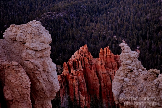 Bryce_canyon_nature_landscape_Utah_USA_Photography_089_Canon_EOS_5D_Mark_IV.JPG