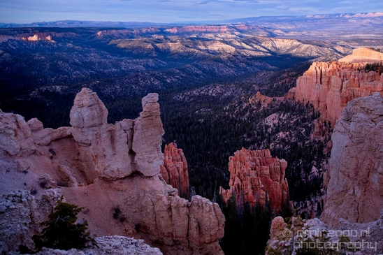 Bryce_canyon_nature_landscape_Utah_USA_Photography_091_Canon_EOS_5D_Mark_IV.JPG