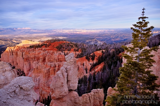 Bryce_canyon_nature_landscape_Utah_USA_Photography_095_Canon_EOS_5D_Mark_IV.JPG