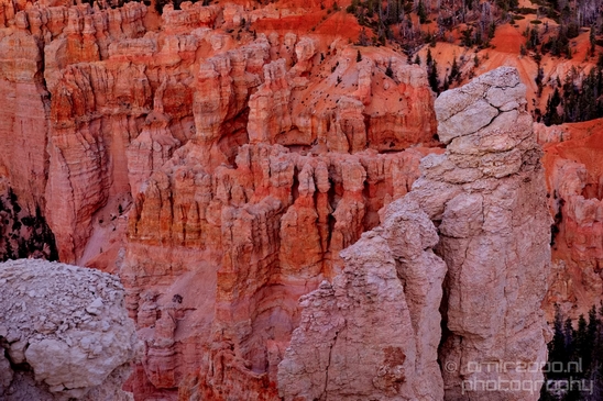 Bryce_canyon_nature_landscape_Utah_USA_Photography_096_Canon_EOS_5D_Mark_IV.JPG