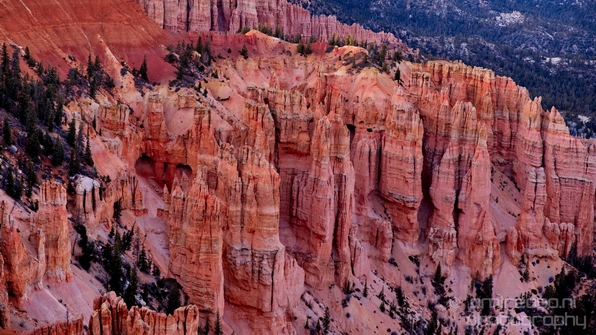 Bryce_canyon_nature_landscape_Utah_USA_Photography_098_Canon_EOS_5D_Mark_IV.JPG