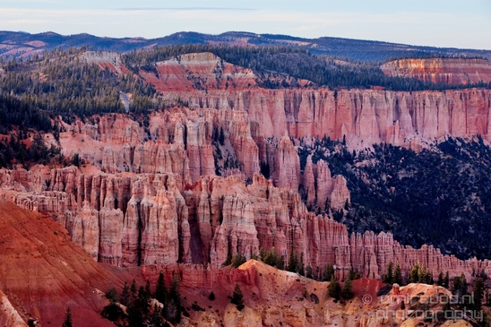 Bryce_canyon_nature_landscape_Utah_USA_Photography_100_Canon_EOS_5D_Mark_IV.JPG