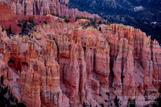 Bryce_canyon_nature_landscape_Utah_USA_Photography_101_Canon_EOS_5D_Mark_IV.JPG