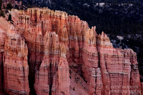 Bryce_canyon_nature_landscape_Utah_USA_Photography_102_Canon_EOS_5D_Mark_IV.JPG