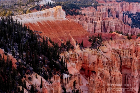 Bryce_canyon_nature_landscape_Utah_USA_Photography_103_Canon_EOS_5D_Mark_IV.JPG