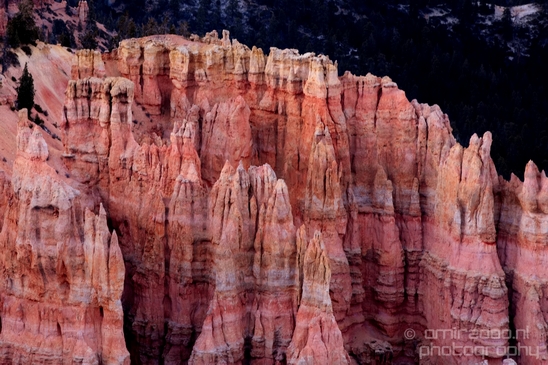 Bryce_canyon_nature_landscape_Utah_USA_Photography_104_Canon_EOS_5D_Mark_IV.JPG