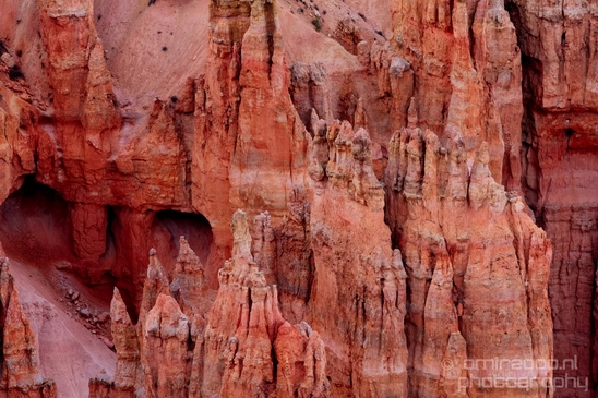 Bryce_canyon_nature_landscape_Utah_USA_Photography_105_Canon_EOS_5D_Mark_IV.JPG