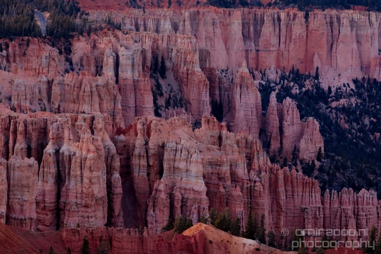 Bryce_canyon_nature_landscape_Utah_USA_Photography_106_Canon_EOS_5D_Mark_IV.JPG