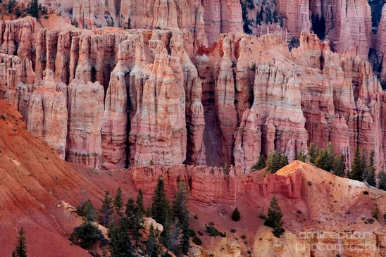Bryce_canyon_nature_landscape_Utah_USA_Photography_107_Canon_EOS_5D_Mark_IV.JPG