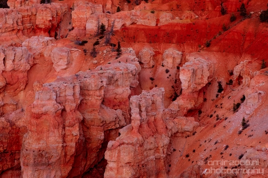 Bryce_canyon_nature_landscape_Utah_USA_Photography_108_Canon_EOS_5D_Mark_IV.JPG