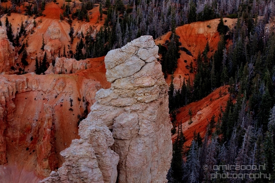 Bryce_canyon_nature_landscape_Utah_USA_Photography_109_Canon_EOS_5D_Mark_IV.JPG