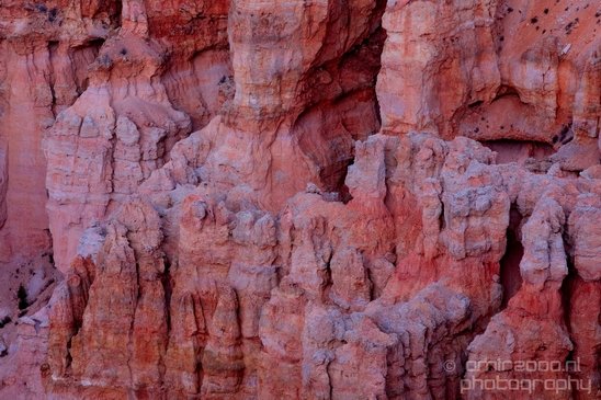 Bryce_canyon_nature_landscape_Utah_USA_Photography_110_Canon_EOS_5D_Mark_IV.JPG