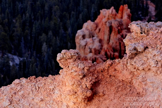 Bryce_canyon_nature_landscape_Utah_USA_Photography_111_Canon_EOS_5D_Mark_IV.JPG