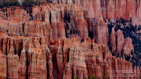 Bryce_canyon_nature_landscape_Utah_USA_Photography_112_Canon_EOS_5D_Mark_IV.JPG