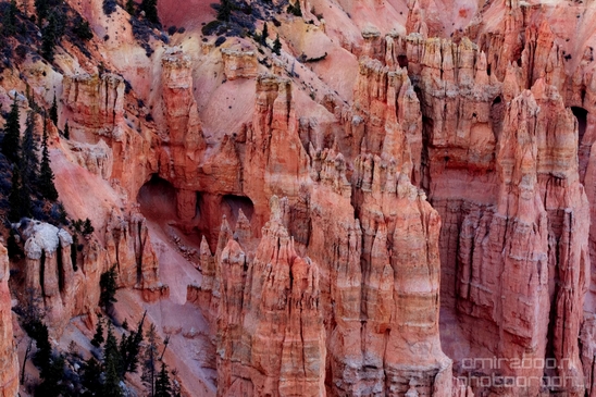Bryce_canyon_nature_landscape_Utah_USA_Photography_113_Canon_EOS_5D_Mark_IV.JPG