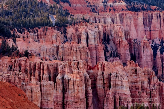 Bryce_canyon_nature_landscape_Utah_USA_Photography_114_Canon_EOS_5D_Mark_IV.JPG