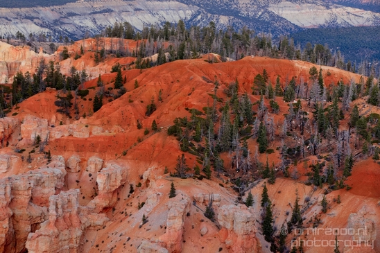 Bryce_canyon_nature_landscape_Utah_USA_Photography_115_Canon_EOS_5D_Mark_IV.JPG