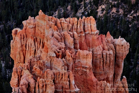 Bryce_canyon_nature_landscape_Utah_USA_Photography_116_Canon_EOS_5D_Mark_IV.JPG