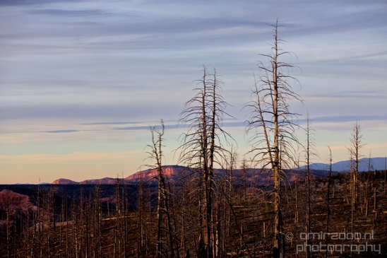 Bryce_canyon_nature_landscape_Utah_USA_Photography_119_Canon_EOS_5D_Mark_IV.JPG