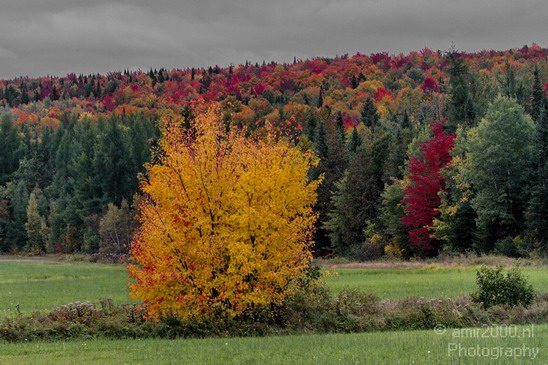 Canada_Nature_Scene_Landscape_Usa_Photography_010_Canon_EOS_7D.JPG