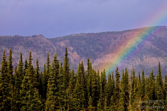 Denali_National_Park_Alaska_nature_landscape_Photography_Usa_002_Canon_EOS_5D_Mark_IV.JPG