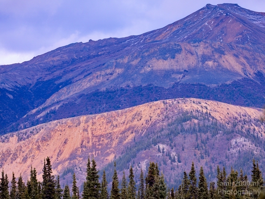 Denali_National_Park_Alaska_nature_landscape_Photography_Usa_003_Canon_EOS_5D_Mark_IV.JPG