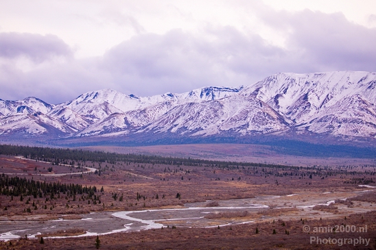 Denali_National_Park_Alaska_nature_landscape_Photography_Usa_004_Canon_EOS_5D_Mark_IV.JPG