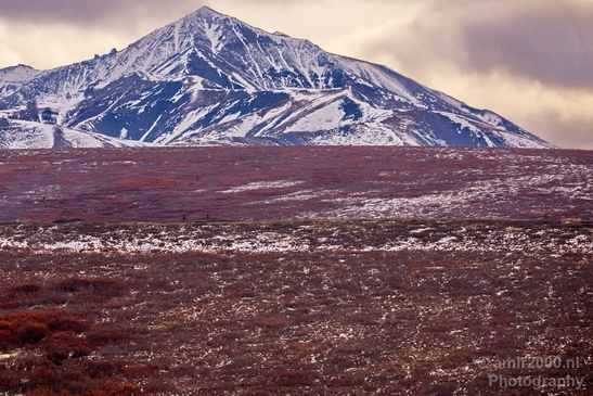 Denali_National_Park_Alaska_nature_landscape_Photography_Usa_005_Canon_EOS_5D_Mark_IV.JPG