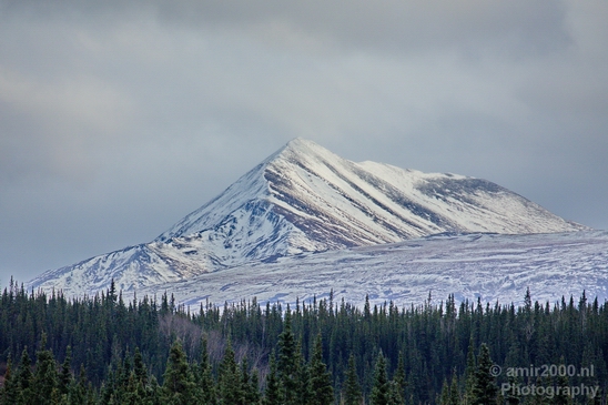 Denali_National_Park_Alaska_nature_landscape_Photography_Usa_007_Canon_EOS_5D_Mark_IV.JPG