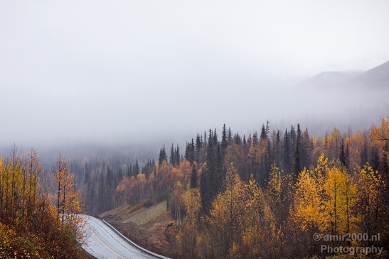 Denali_National_Park_Alaska_nature_landscape_Usa_Photography_006_Canon_EOS_5D_Mark_IV.JPG
