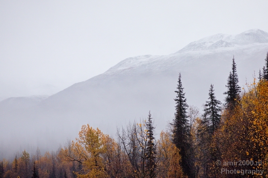 Denali_National_Park_Alaska_nature_landscape_Usa_Photography_008_Canon_EOS_5D_Mark_IV.JPG