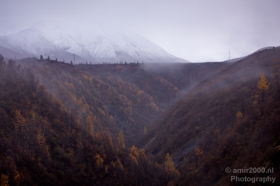 Denali_National_Park_Alaska_nature_landscape_Usa_Photography_010_Canon_EOS_5D_Mark_IV.JPG