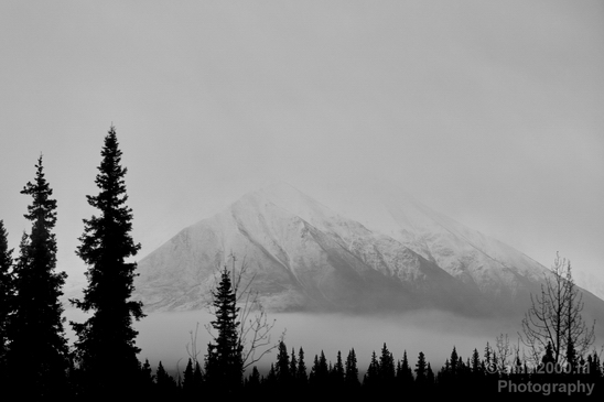 Denali_National_Park_Alaska_nature_landscape_Usa_Photography_013_Canon_EOS_5D_Mark_IV.JPG