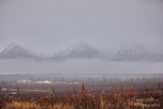 Denali_National_Park_Alaska_nature_landscape_Usa_Photography_014_Canon_EOS_5D_Mark_IV.JPG
