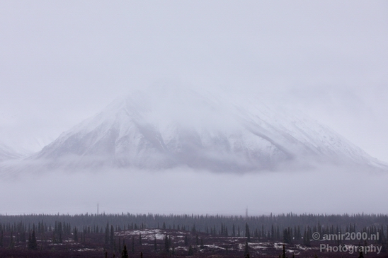 Denali_National_Park_Alaska_nature_landscape_Usa_Photography_020_Canon_EOS_5D_Mark_IV.JPG