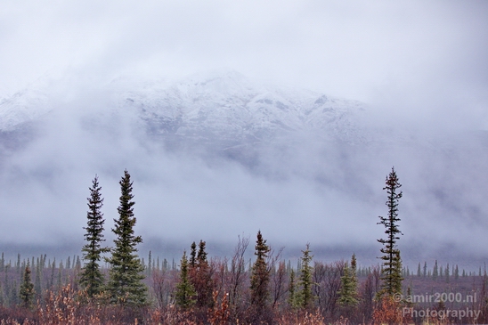 Denali_National_Park_Alaska_nature_landscape_Usa_Photography_024_Canon_EOS_5D_Mark_IV.JPG