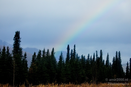 Denali_National_Park_Alaska_nature_landscape_Usa_Photography_031_Canon_EOS_5D_Mark_IV.JPG