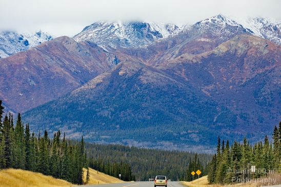 Denali_National_Park_Alaska_nature_landscape_Usa_Photography_035_Canon_EOS_5D_Mark_IV.JPG
